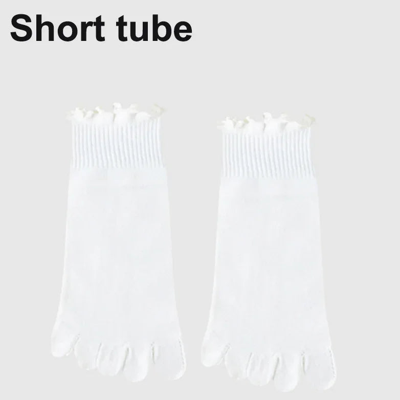 48059877720409|48059877785945