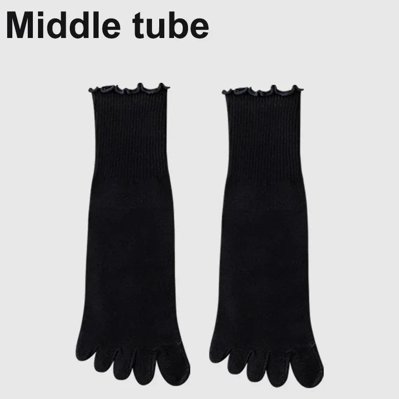 48059877622105|48059877687641